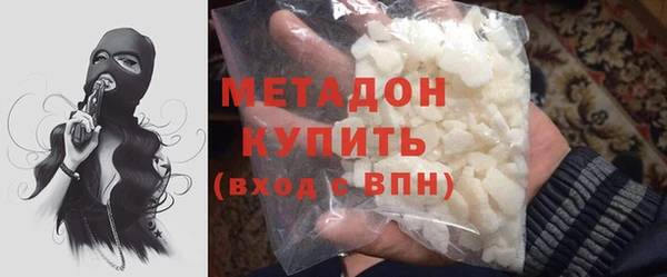 прущие грибы Белокуриха